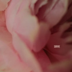 Pochette Lewis Capaldi - Survive