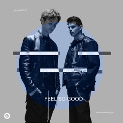 Pochette Lucas & Steve - Feel So Good