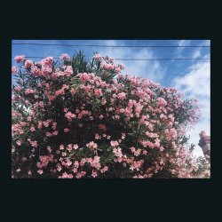 Pochette Ceres - Okay