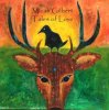 Pochette Micah Gilbert - Coming Down Micah Gilbert - Coming Down