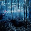 Pochette Apocalyptica Feat. Lauri Ylönen - Life Burns Apocalyptica Feat. Lauri Ylönen - Life Burns