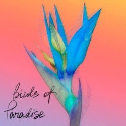 Pochette From:Ksusha & Yongue - Birds Of Paradise