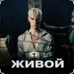 Pochette Shaman - Живой