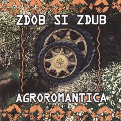 Pochette Zdob și Zdub - Hora cosmica