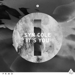 Pochette Syn Cole - It's You (Original Mix)