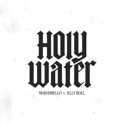 Pochette Marshmello & Jelly Roll - Holy Water