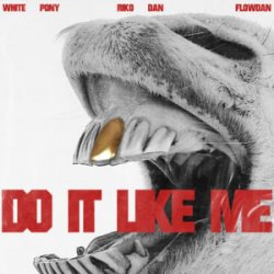 Pochette White Pony & Riko Dan & Flowdan - Do It LIke Me (VIP)