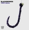 Pochette FISHER & bbyclose - Blackberries (Extended Mix) FISHER & bbyclose - Blackberries (Extended Mix)