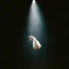 Pochette Ariana Grande - dandelion Ariana Grande - dandelion