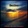Pochette Flight of the Falcon - Destiny (Radio edit) Flight of the Falcon - Destiny (Radio edit)