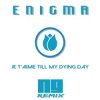 Pochette ENIGMA - Je T'aime Till My Dying Day (NJ Remix) ENIGMA - Je T'aime Till My Dying Day (NJ Remix)