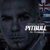 Pochette Pitbull - Work It Out Pitbull - Work It Out
