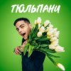 Pochette VOLKANOV - ТЮЛЬПАНИ VOLKANOV - ТЮЛЬПАНИ