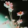 Pochette Oskar med k & Khalid - nobody (make me feel) Oskar med k & Khalid - nobody (make me feel)
