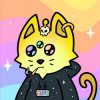 Cosmic Cats - Cats Choose a Direction