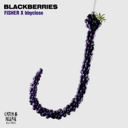 Pochette FISHER & bbyclose - Blackberries (Extended Mix)