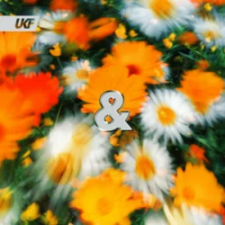 Pochette Ekko & Sidetrack - Peace of Mind
