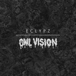 Pochette Owl Vision - Zyborg