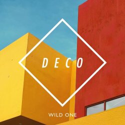 Pochette Deco - Wild One