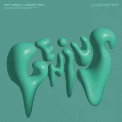 Pochette Sam Tinnesz & Danger Twins - Are You Ready