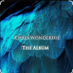 Pochette Chris Wonderful - Anisotropic Universe
