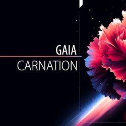 Pochette Gaia - Carnation