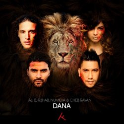 Pochette Ali B, Cheb Rayan & R3hab feat. Numidia - Dana