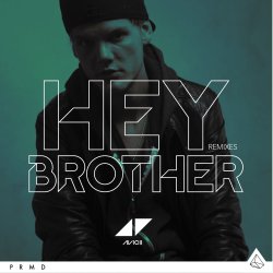 Pochette Avicii - Hey Brother (Extended Version)