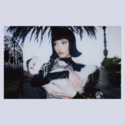 Pochette Faouzia - PEACE & VIOLENCE