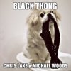 Pochette Chris Lake & Michael Woods - Black Thong (Original Mix) Chris Lake & Michael Woods - Black Thong (Original Mix)