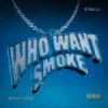 Pochette Tricky Nicki & STOSLIV - Who Want Smoke? Tricky Nicki & STOSLIV - Who Want Smoke?