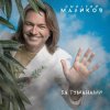Pochette Дмитрий Маликов - Когда-нибудь Дмитрий Маликов - Когда-нибудь