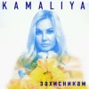 Pochette Kamaliya - Захисникам Kamaliya - Захисникам