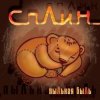 Pochette Сплин - Холодные зимы Сплин - Холодные зимы