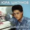 Pochette Юрий Шатунов - Про белые розы Юрий Шатунов - Про белые розы