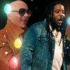 Pochette Pitbull feat. Stephen Marley - Options Pitbull feat. Stephen Marley - Options