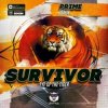 Pochette Survivor - Eye Of the tiger (Prime Remix) Survivor - Eye Of the tiger (Prime Remix)