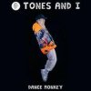 Pochette Tones & I feat. Dj Noiz - Dance Monkey Tones & I feat. Dj Noiz - Dance Monkey