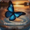 Pochette Rodle & Hilola Samirazar & Dndm Ft Umar Keyn - Femme Like U Rodle & Hilola Samirazar & Dndm Ft Umar Keyn - Femme Like U