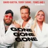 Pochette David Guetta & Teddy Swims & Tones and I - Gone Gone Gone (Dj Dark Remix) David Guetta & Teddy Swims & Tones and I - Gone Gone Gone (Dj Dark Remix)