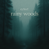 Pochette eyfect - rainy woods eyfect - rainy woods