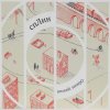 Pochette Сплин - Летела жизнь Сплин - Летела жизнь