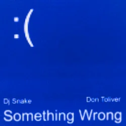 Pochette DJ Snake & Don Toliver - Something Wrong