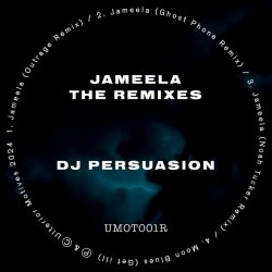 Pochette DJ Persuasion - Jameela (Noah Tucker Remix)