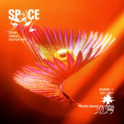 Pochette Zerb & Odeal & Victor Ray - Space