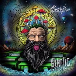 Pochette Psydewise - Genetic Reflection