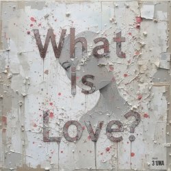 Pochette What Is Love (Serge Gri Tech ver cover)