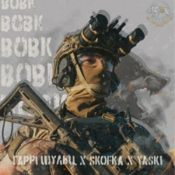 Pochette Гаррі Шульц & SKOFKA & Yaski - Вовк