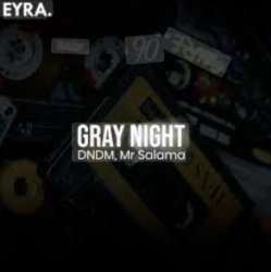 Pochette DNDM, Mr Salama - Gray Night