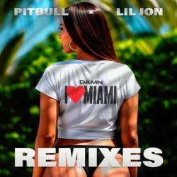 Pochette Pitbull & Lil Jon - Damn I Love Miami (Apollo XO Remix)